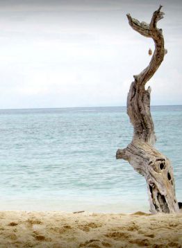 Pantai Talise