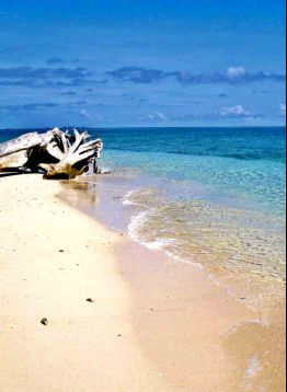 Pulau Samalona