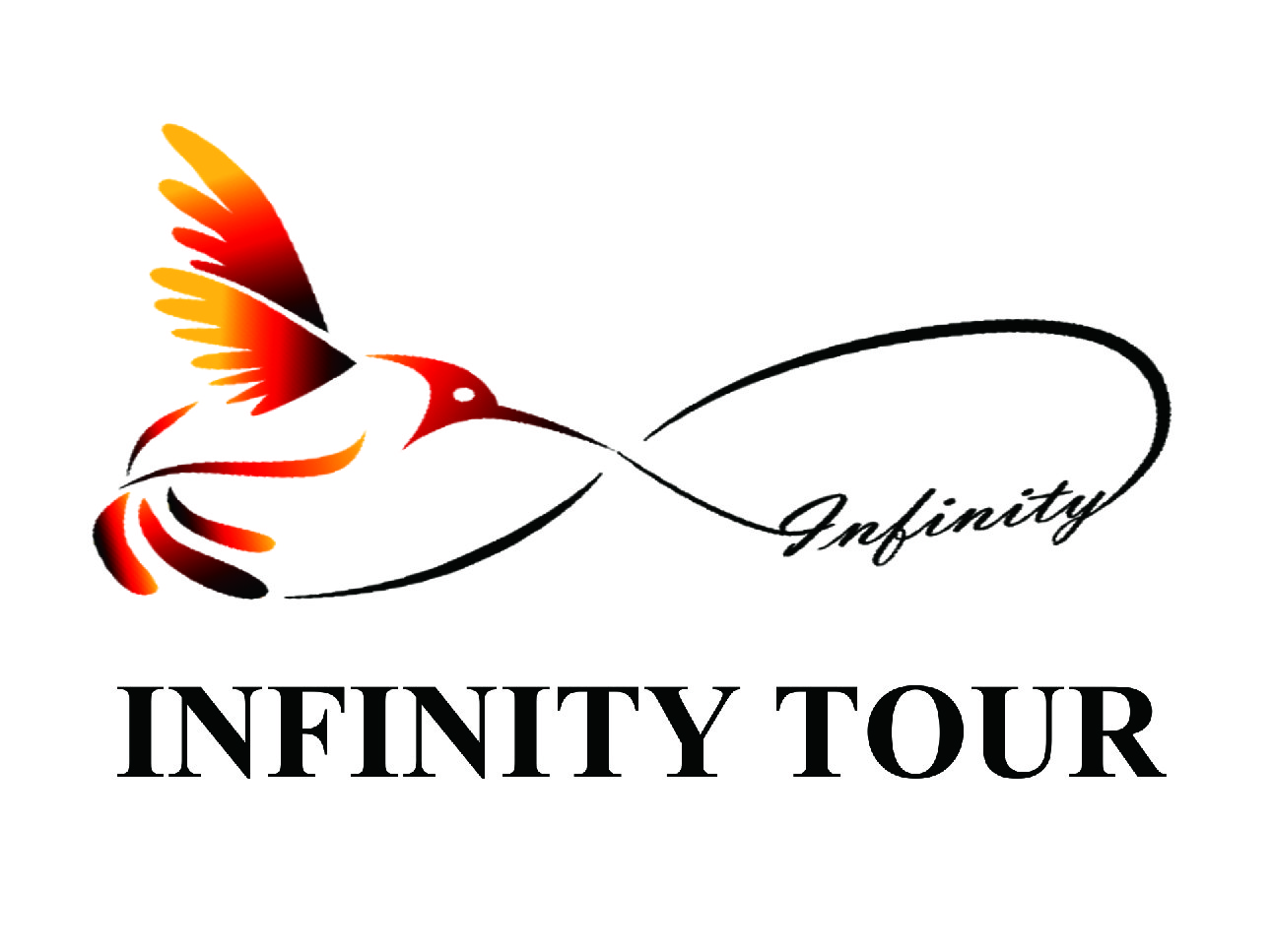 Infinity Tour's banner