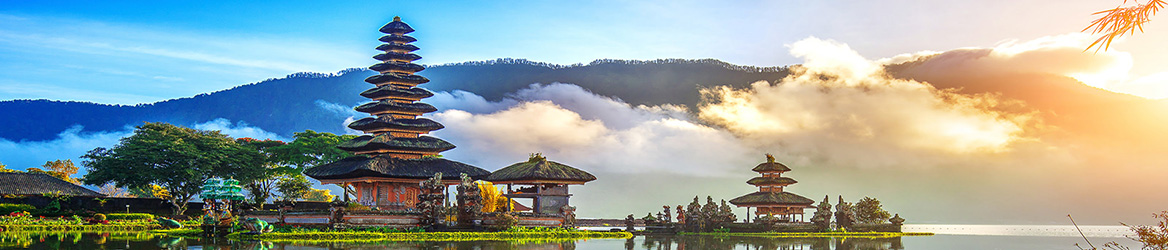 Travelling Compass's banner