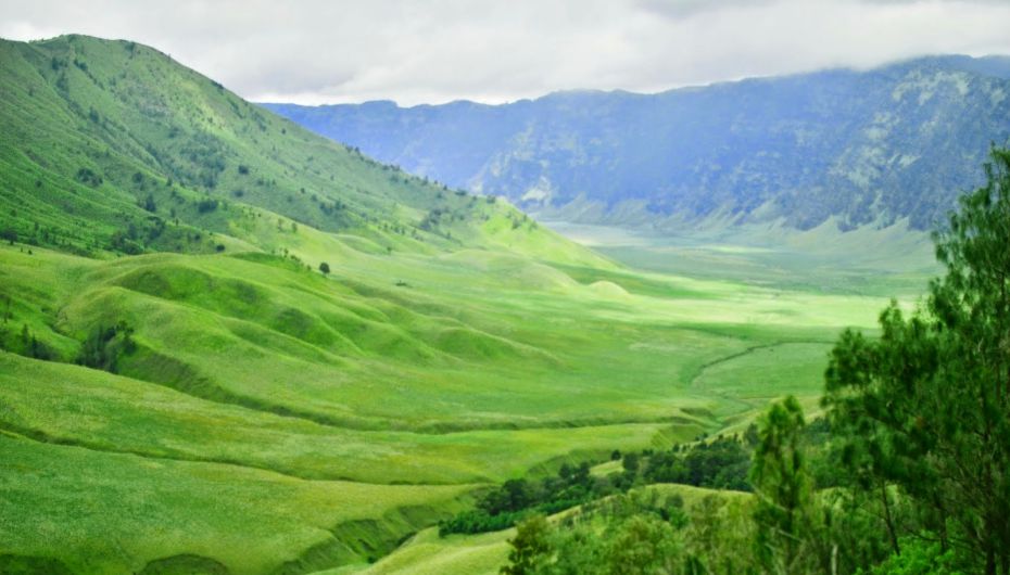 Paket Tour Bromo