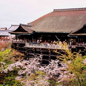 Kiyomizu Temple         